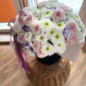 photo_10_2026-02-01_03-17-51