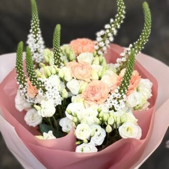 photo_19_2026-02-01_03-17-51