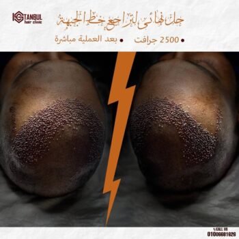 photo_23_2025-10-08_21-30-21