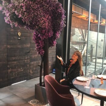 photo_3_2026-02-01_03-17-51