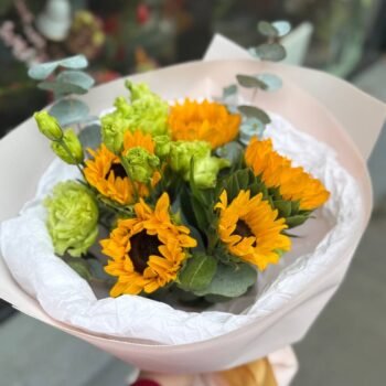 photo_4_2026-02-01_03-16-20