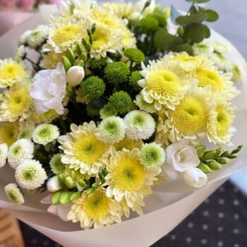 photo_6_2026-02-01_03-16-20